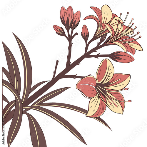 vector illustration of verbascum southern charm