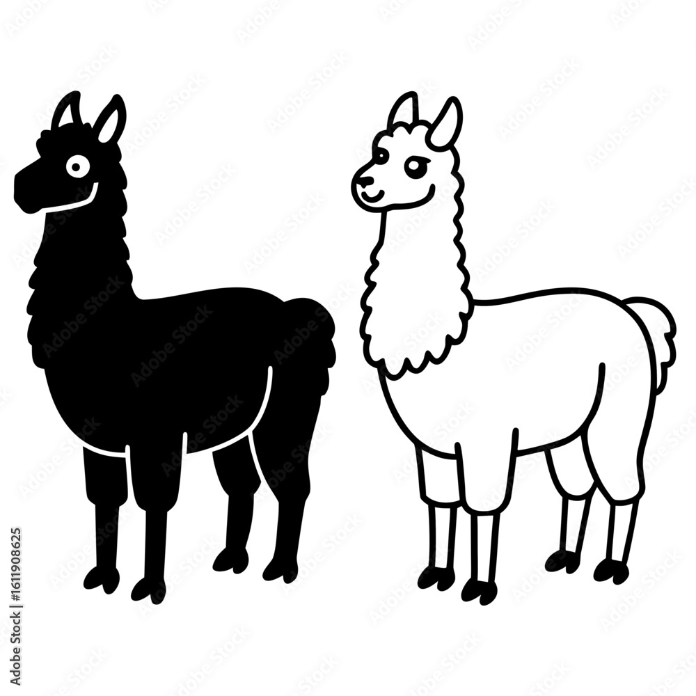 Fototapeta premium Two llamas one black silhouette one outline isolated on white background