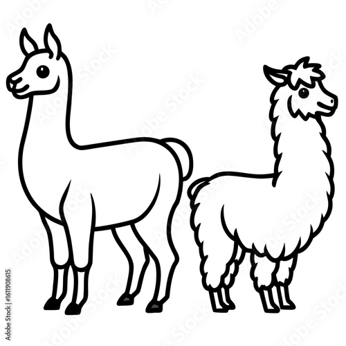 Two cartoon llamas silhouette isolated on white background