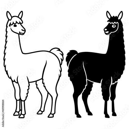 Two llamas one white outline one black silhouette isolated on white background