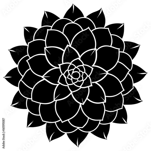 Black succulent silhouette isolated on white background