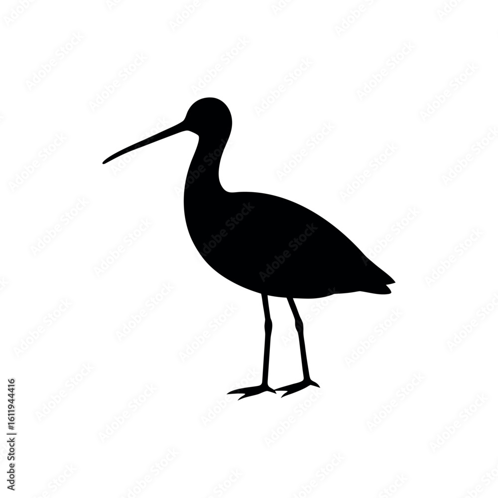 Fototapeta premium A godwit Bird's silhouette art on vector illustration.