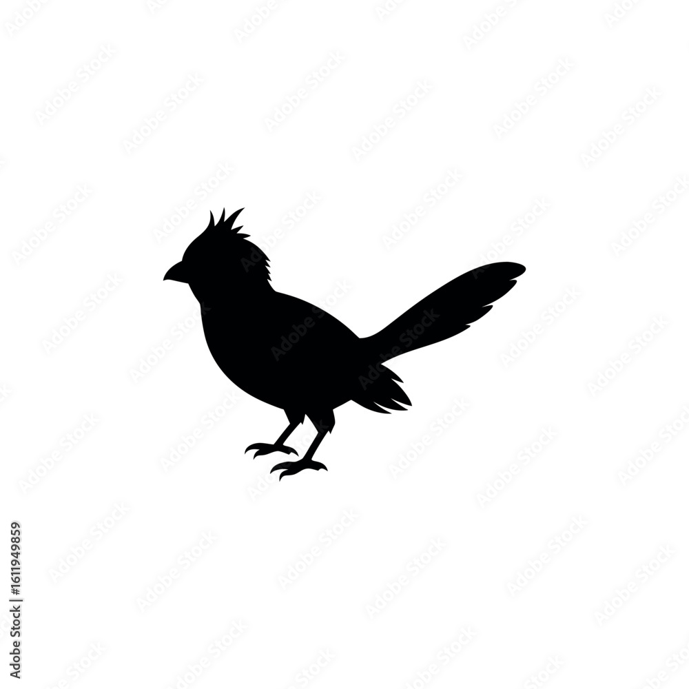 Fototapeta premium A mousebird Bird's silhouette art on vector illustration.