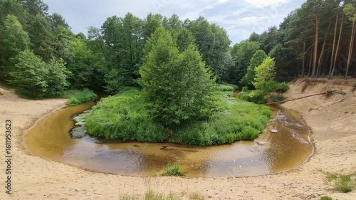 Krajobraz nad rzeką. Drzewa i zielone, gęste zarośla rosnące nad rzeką. Landscape by the river. Trees and green, dense thickets of sewage by the river