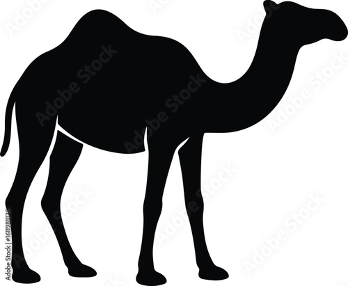 Silhouette camel dromedary single hump mammal animal desert vector illustrator