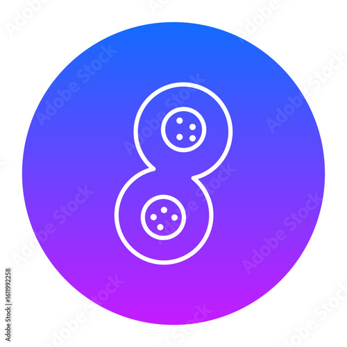 Cell Division