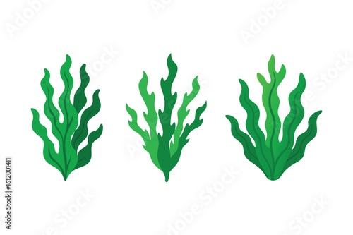 A set of green seaweed vector art illustration