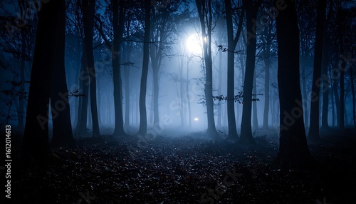 Misty, moonlit forest at night