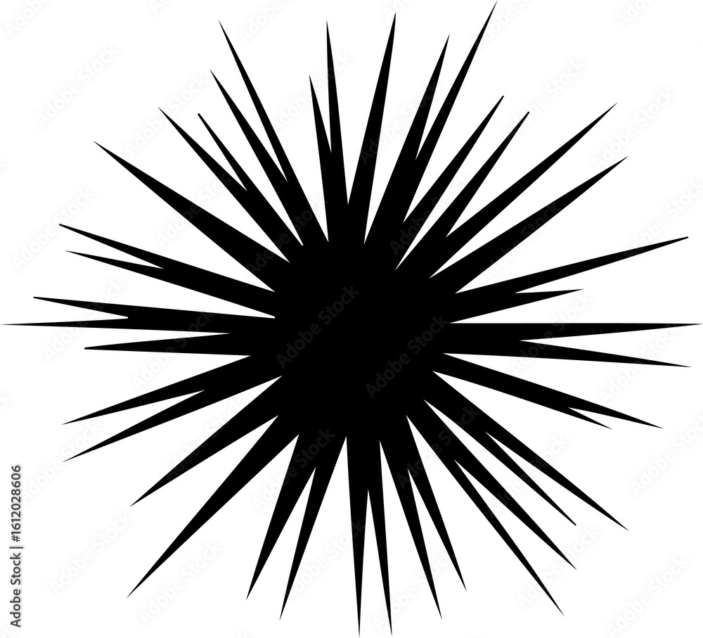 Fototapeta premium abstract black starburst vector graphic shape