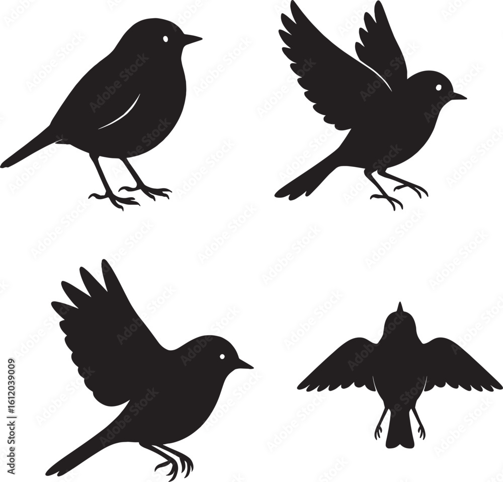 Obraz premium Robin Silhouette in Black and White Isolated Bird Vectors in Natural Poses, Sparrow Silhouette in Black and White Isolated Vector Bird in Natural Poses