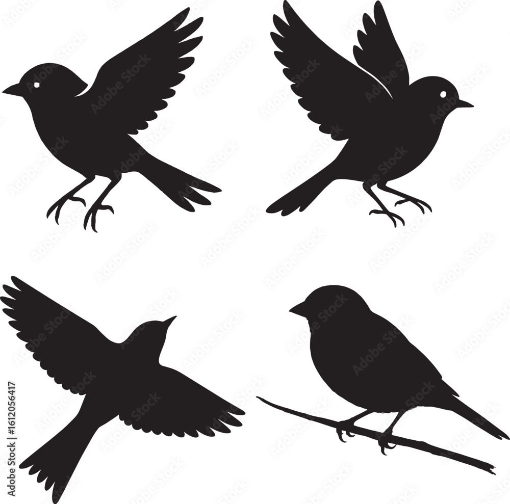 Obraz premium Sparrow Silhouette in Black and White Isolated Vector Bird in Natural Poses, Robin Silhouette in Black and White Isolated Bird Vectors in Natural Poses