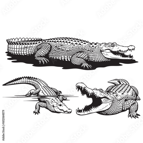 Set of 3 Nile Crocodile Silhouettes Reptile and Predator Vector Set