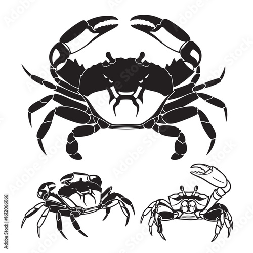 Set of 3 Stylized Crab Silhouettes as Crustacean Vector Icons