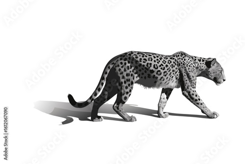 Grayscale illustration of a leopard walking with a shadow