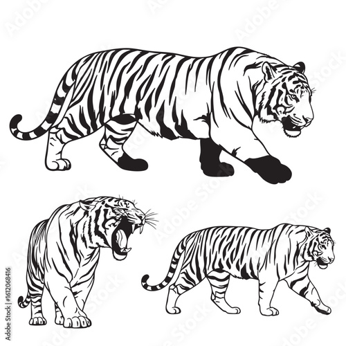 Set of 3 Stylized Tiger Silhouettes as Jungle Cat Vector Icons