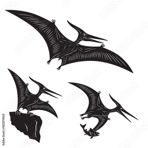 Set of 3 Pterodactyl Silhouettes as Flying Reptile Vector Icons
