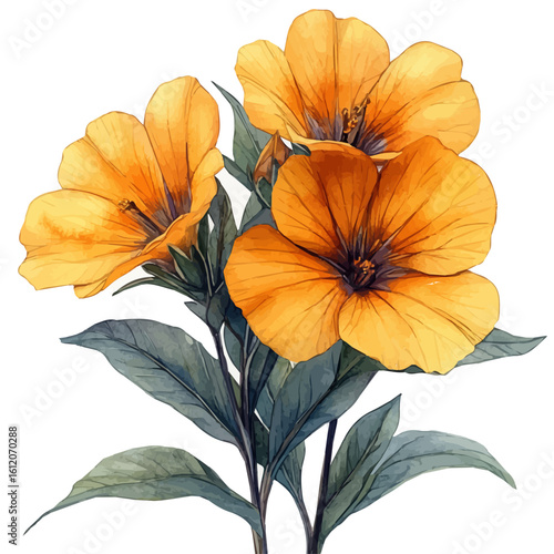 Wallflower Flower, watercolor illustration vector, isolated on a white background.