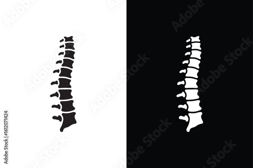Spine human part icon isolated vector icon illustration on white background.