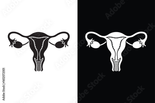 Uterus human part icon isolated vector icon illustration on white background.