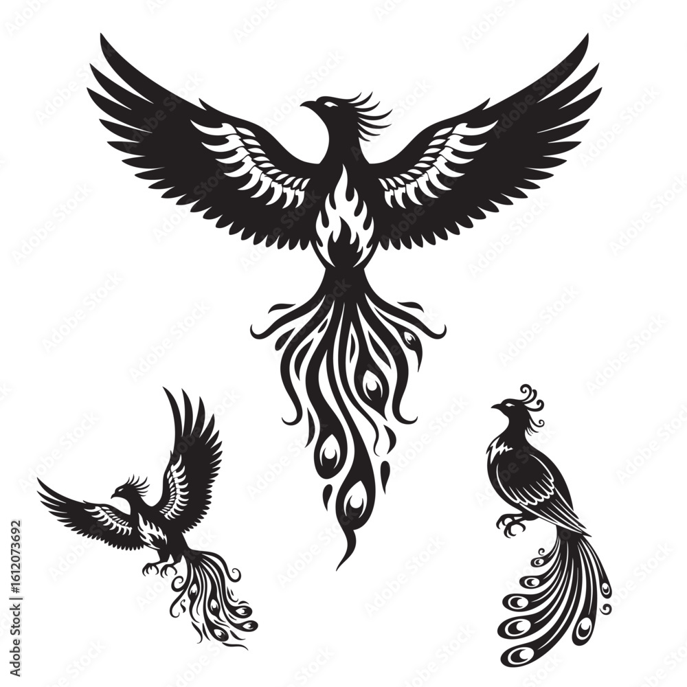 Obraz premium Set of 3 Phoenix Silhouettes as a Rebirth and Fire Bird Icon Set