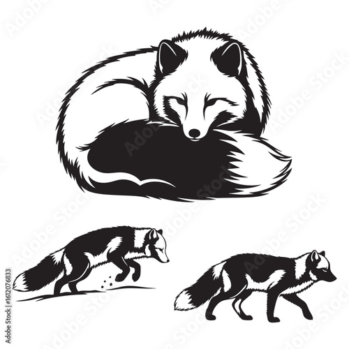 Set of 3 Arctic Fox Silhouettes as a Winter Animal Vector Set