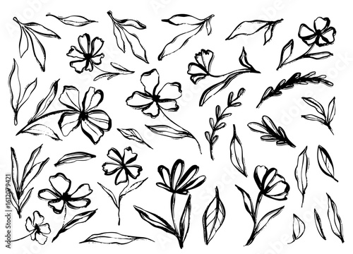 Flower doodle hand drawn line stroke. Sketch hand drawn spring floral plant, nature graphic leaf, scribble grunge brush texture. Vector simple flower, leaf brush stroke. Vector illustration