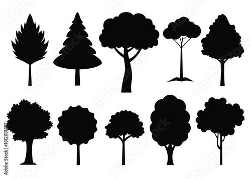 Set of 10 common urban or park tree silhouettes isolated on white background