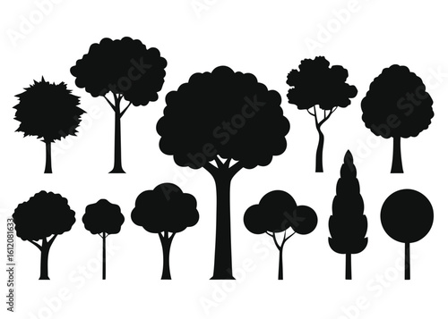 Set of 10 common urban or park tree silhouettes isolated on white background