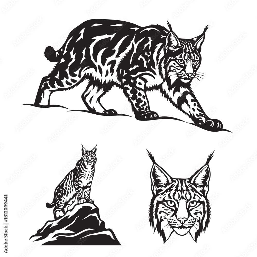 Fototapeta premium Set of 3 Lynx Silhouettes as a Cold Climate Wildcat Icon Set