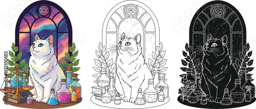 Magical cat illustration with potions and alchemy tools for coloring book pages art vector