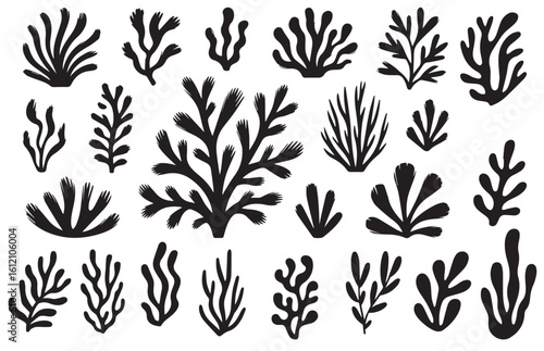 Coral reef or seaweeds vector underwater plant icons. Naive style leaves, algae or fronds. Hand drawn vector ink illustration. Modern style organic corals, aesthetic underwater plants and branches