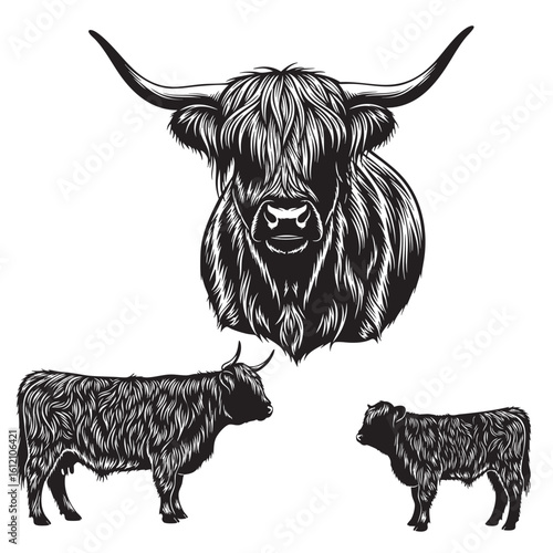 Set of 3 Highland Cow Silhouettes as a Shaggy Cattle Breed Set