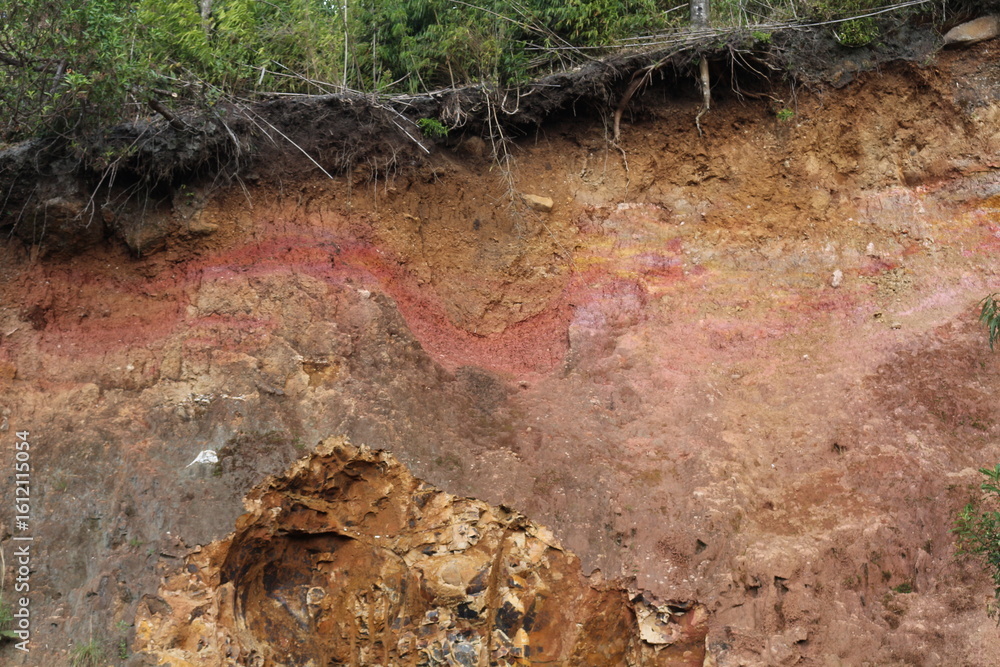 Obraz premium Perfil de Solo