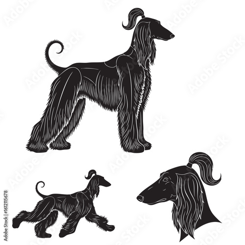 Set of 3 Afghan Hound Silhouettes as an Elegant Sighthound Set