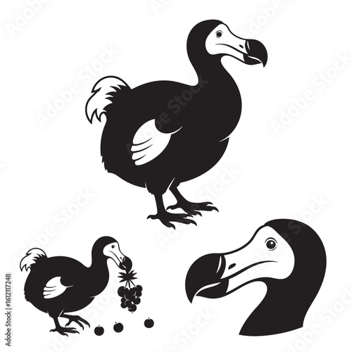 Set of 3 Dodo Bird Silhouettes as an Extinct Animal Icon Set