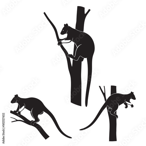 Set of 3 Tree Kangaroo Silhouettes as an Arboreal Marsupial Set