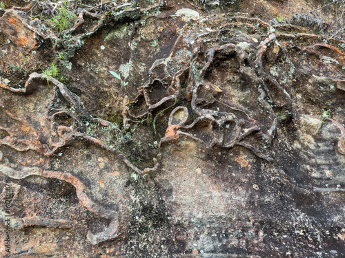 Photography Close-up view of a weathered and eroded sandstone rock face in Blue Mountains, A