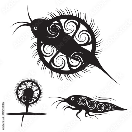 Set of 3 Rotifer Silhouettes as a Microscopic Animal Icon Set