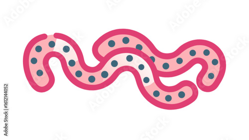 Diagram of ebola virus structure vector illustration for science and health education resources design