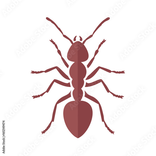 Illustration of a Brown Ant on Black Background