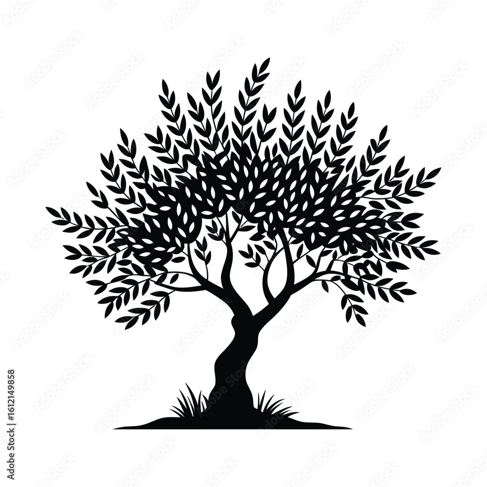 Fototapeta premium Silhouette of a lush green olive tree with a twisted trunk and dense foliage