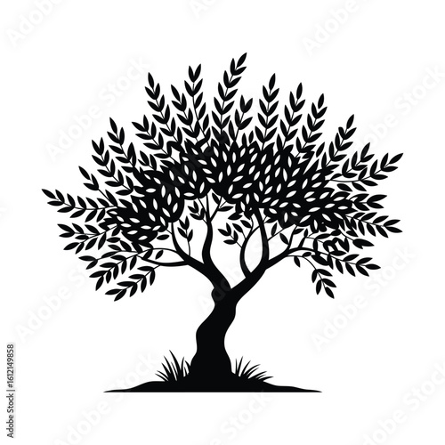 Silhouette of a lush green olive tree with a twisted trunk and dense foliage