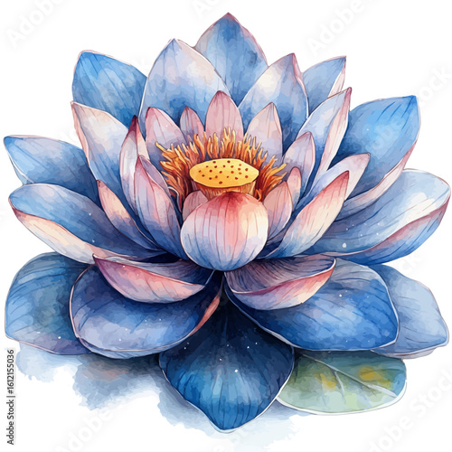 Lotus Flower, watercolor vector, isolated on a white background.