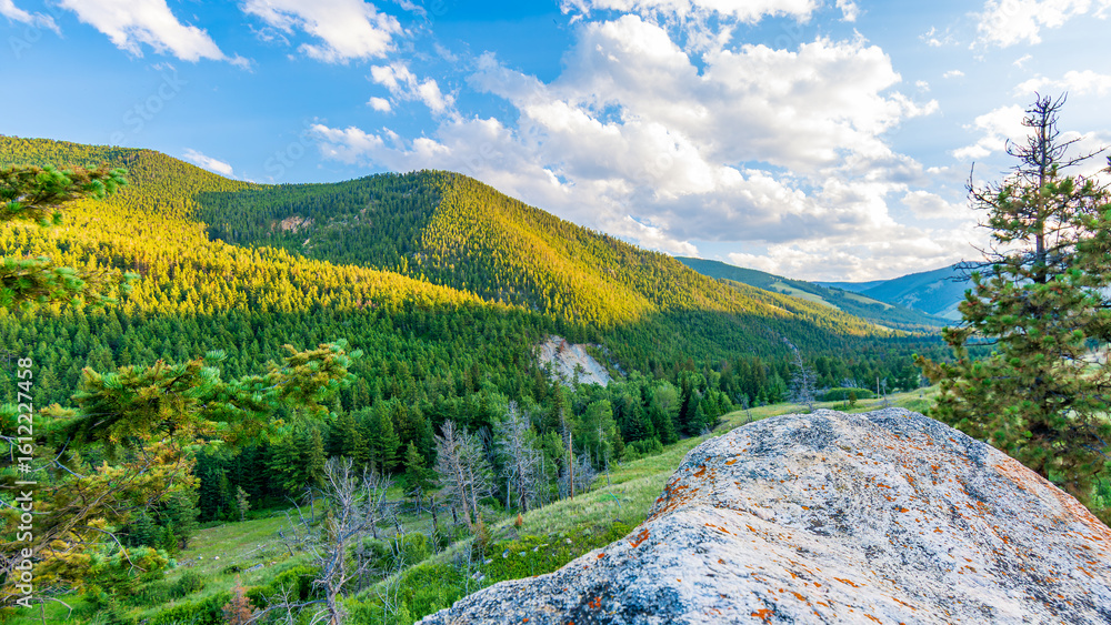 Obraz premium Golden Light on Forested Mountains Near West Fork, Montana with Boulder Foreground - hiking and recreation region near Red Lodge, Montana