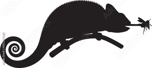 silhouette of a chameleon with curled tail and extended tongue catching an insect, on white background