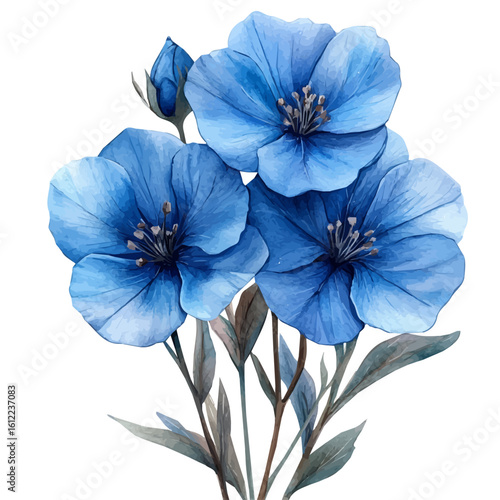 Blue Flax Flower, watercolor painting vector, isolated on a white background.