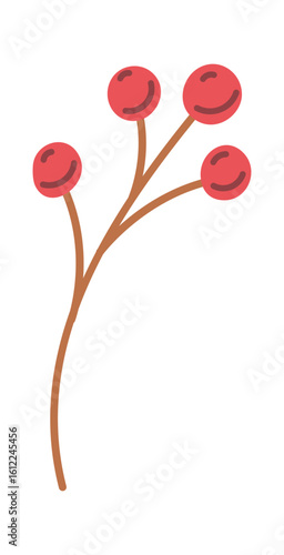 Natural rowanberry branch organic plant