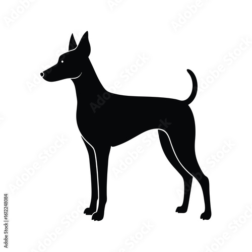 Elegant thin dog standing profile silhouette