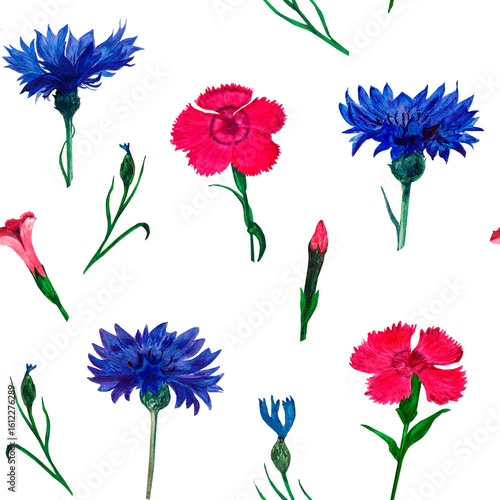 Cornflower and Carnation pattern flowers and buds Watercolor