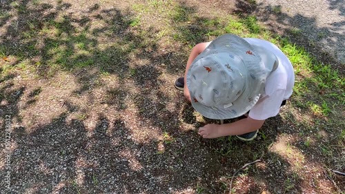 Wallpaper Mural 枝を手に夢中で遊ぶ子どもと木漏れ日 Torontodigital.ca